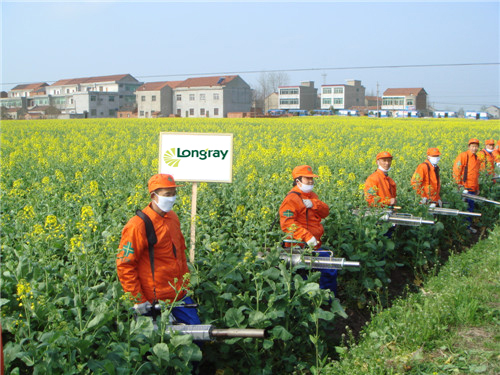 fogging-machine-application-17.jpg