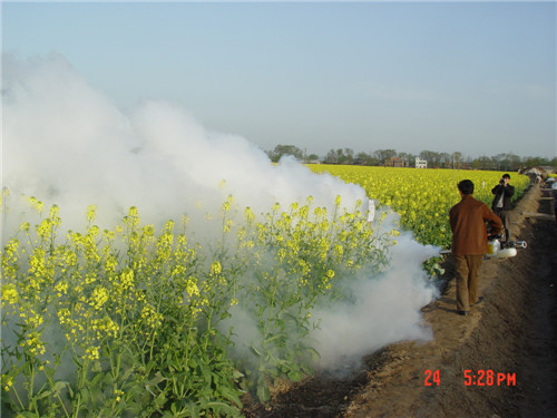 fogging-machine-application-18.jpg