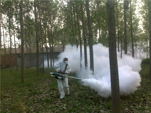 fogging-machine-application-8.jpg