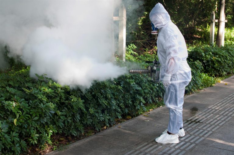 longrayfog thermal fogger TS-34.jpg