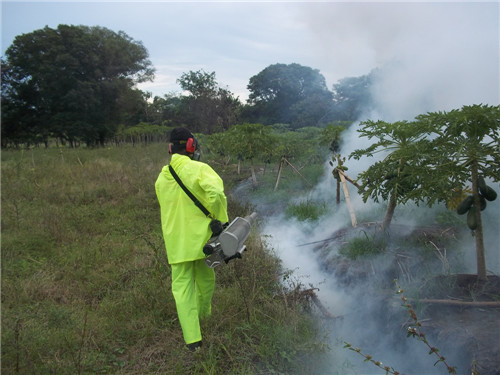 FUMIGACION-PAPAYA-1.jpg