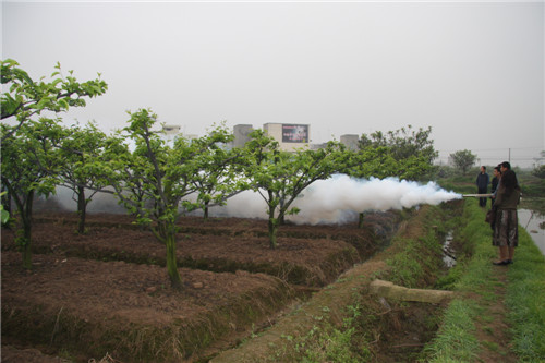 fogging-machine-application-21.jpg